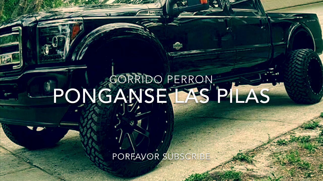 Corrido "Perron" - Ponganse Las Pilas "2020"