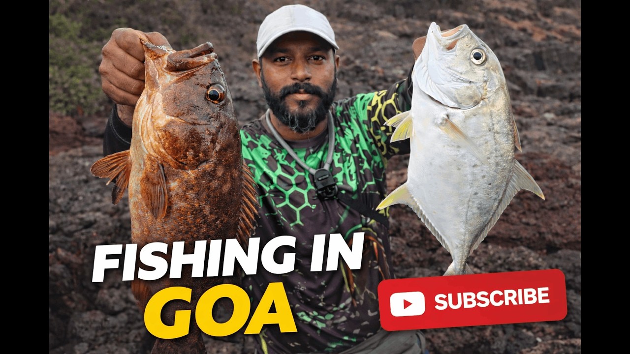 #Fishing in Goa #rock fishing in Goa #jig fishing