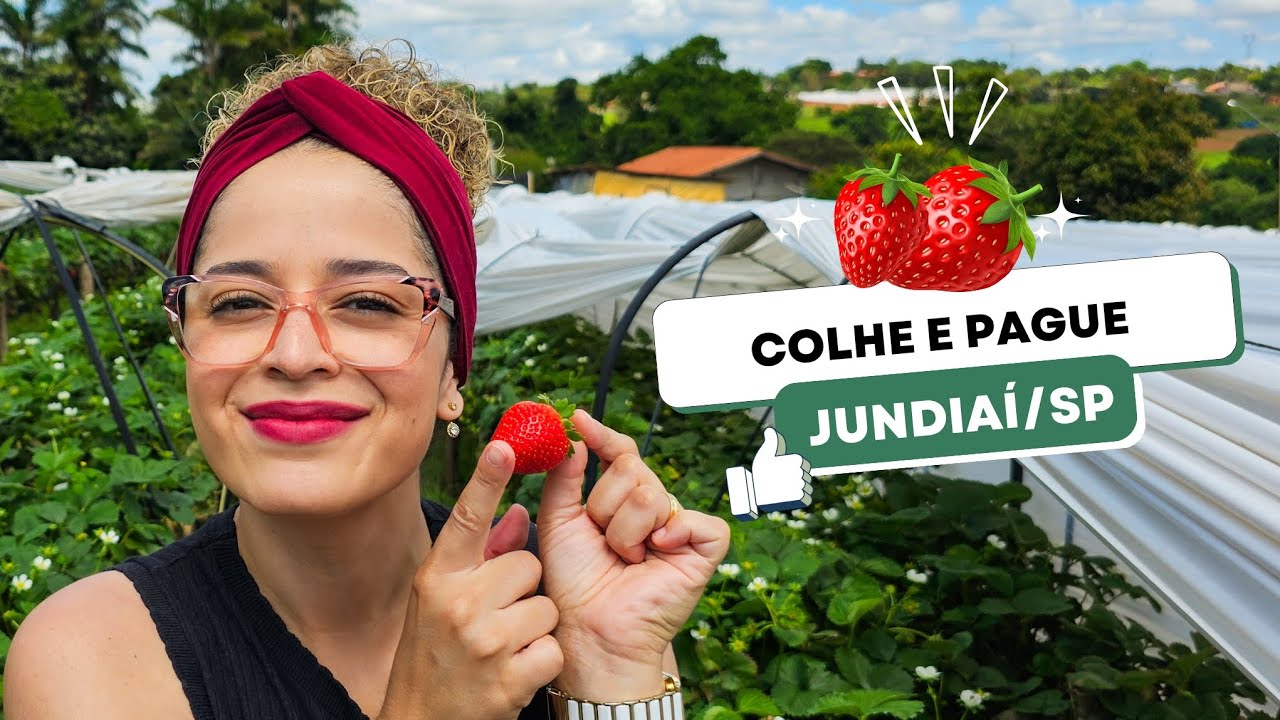 Turismo Rural: Colhe e pague em Jundiaí. Morangos doces, amoras gigantes e a verdadeira framboesa.
