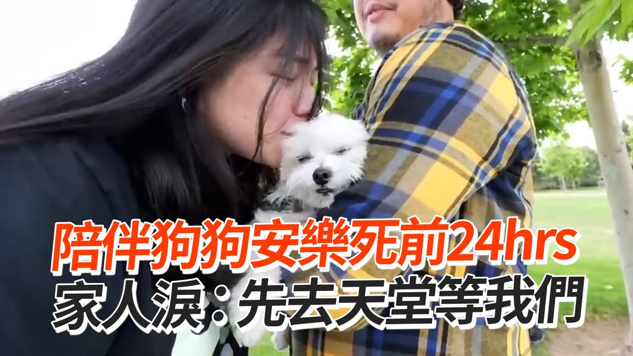 陪伴狗狗安樂死前24hrs！家人淚：天堂等我們😢｜寵物動物｜道別