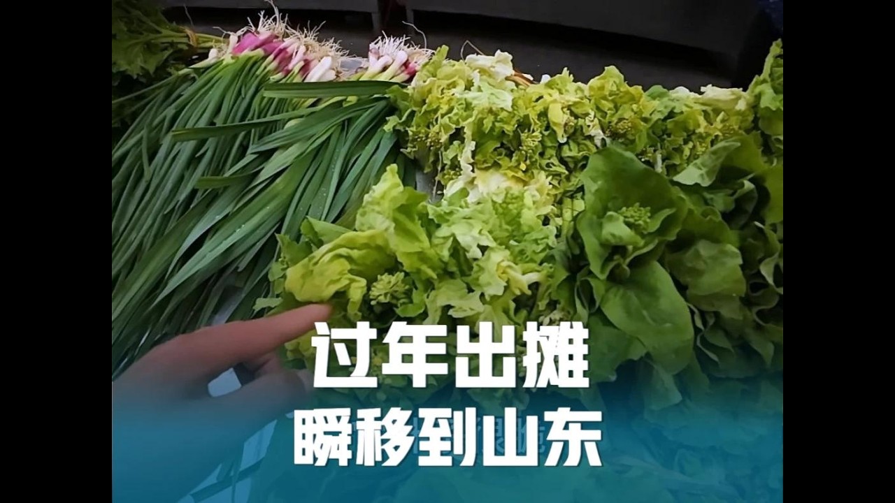 过年出摊满满一桌菜，菜苔依然最受欢迎，中途瞬移到山东过年了！