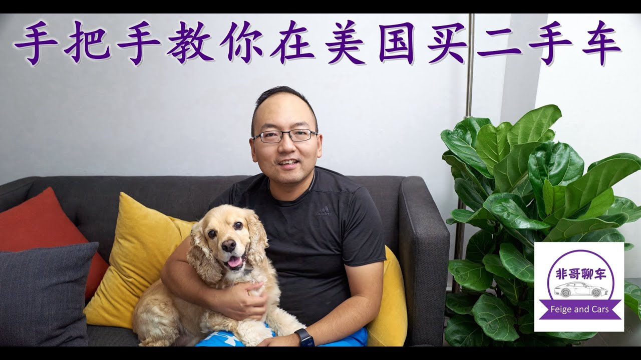 手把手教你在美国买二手车 2020版 How to buy used cars in the US 2020 Version