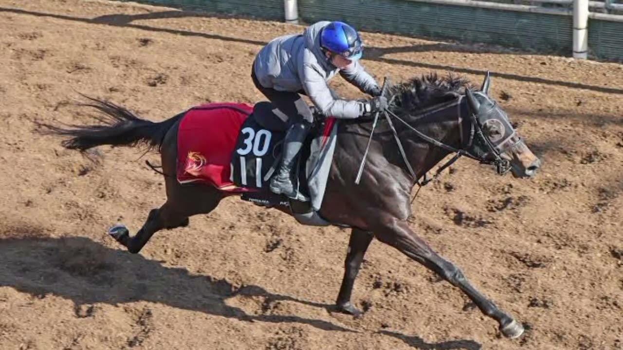 🔥皐月賞へ超重要前哨戦！スプリングS追い切り“激アツ談話”ベスト3を大公開🐎💥勝つのはこの馬だ‼️