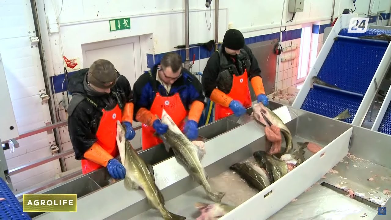 Перспективы развития рыбоводства в Казахстане | AgroLife