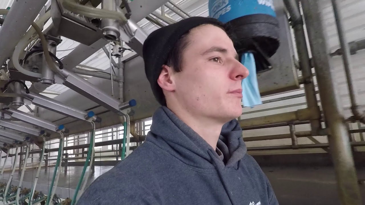 A Day of Dairy Farming - Feb 12, 2019