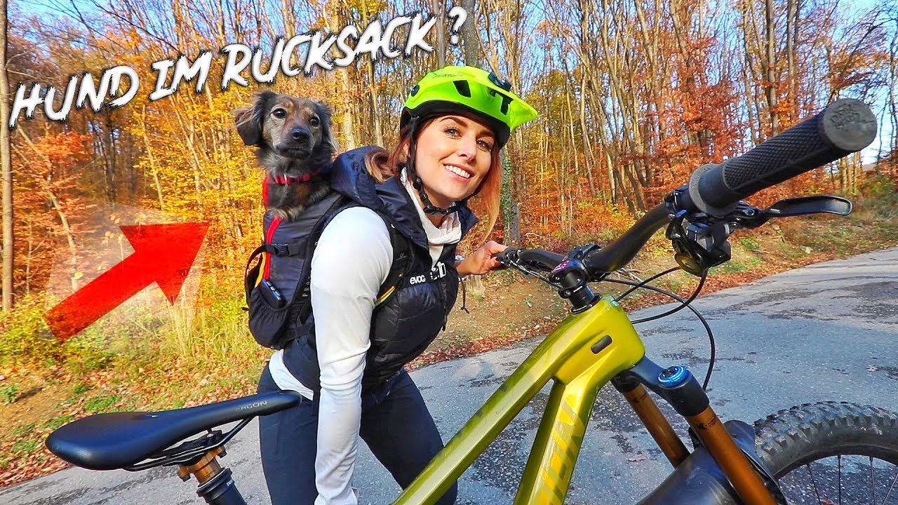 Biken mit Hund ( im Rucksack) ? l Traildog l Uphill + Downhill Mountain Biken l MISS PEACHES