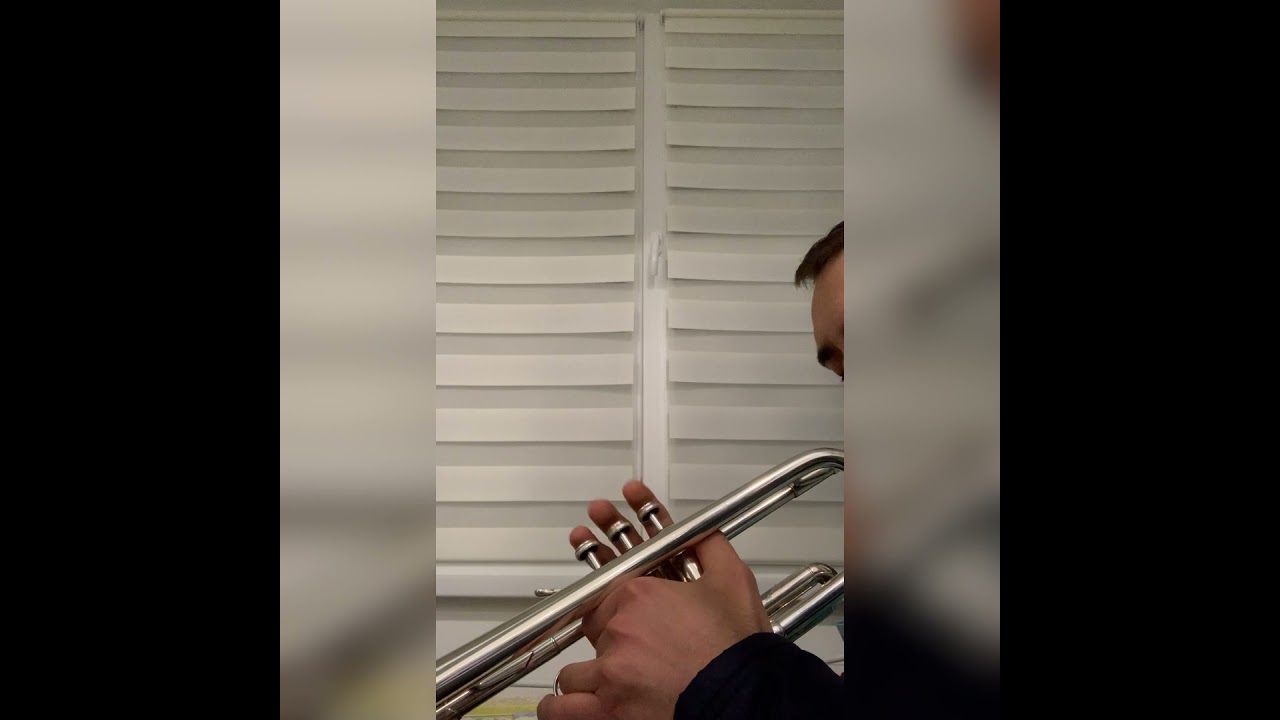 O sârbă rară ca la Iași🎺🎻