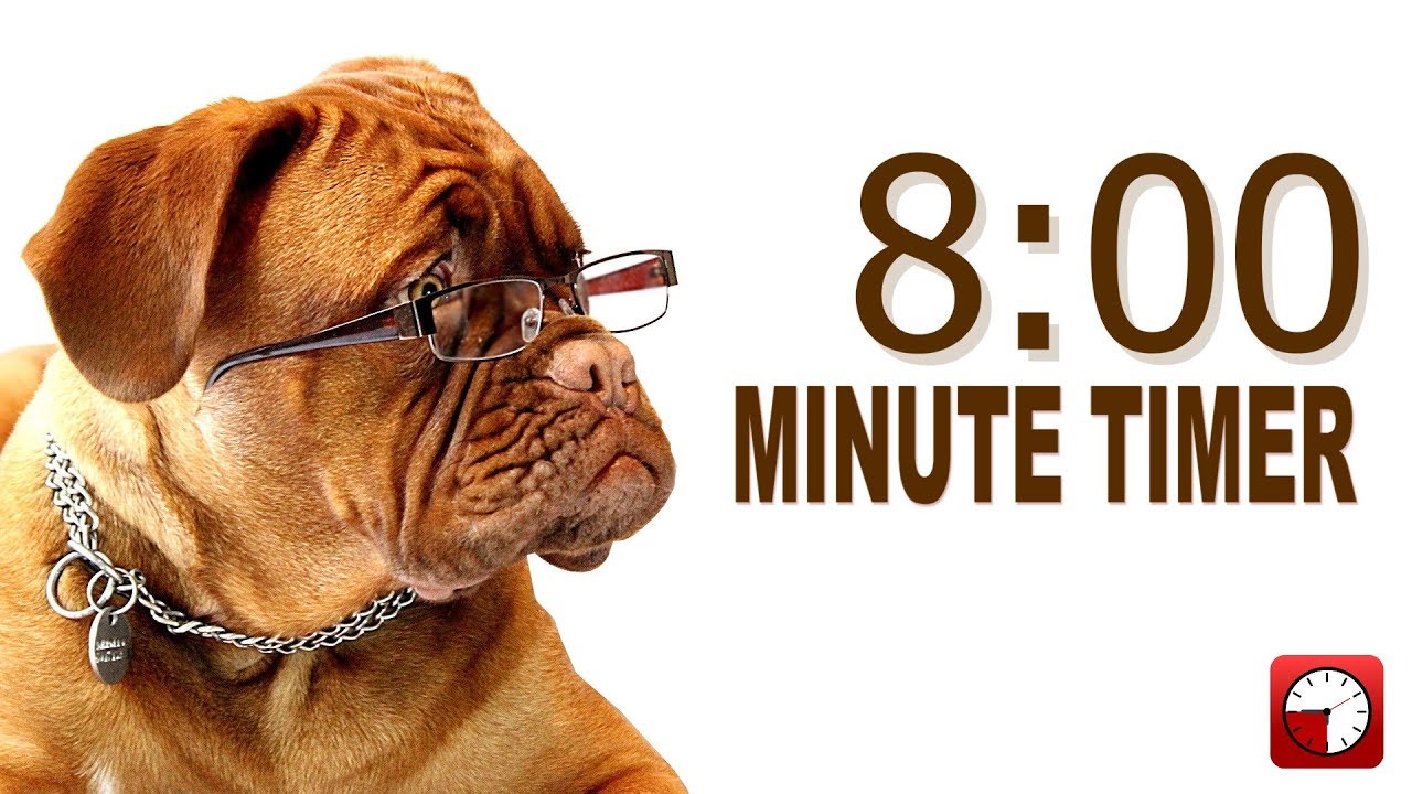 8 Minute Timer for PowerPoint and School - Alarm Sounds with Dog Bark