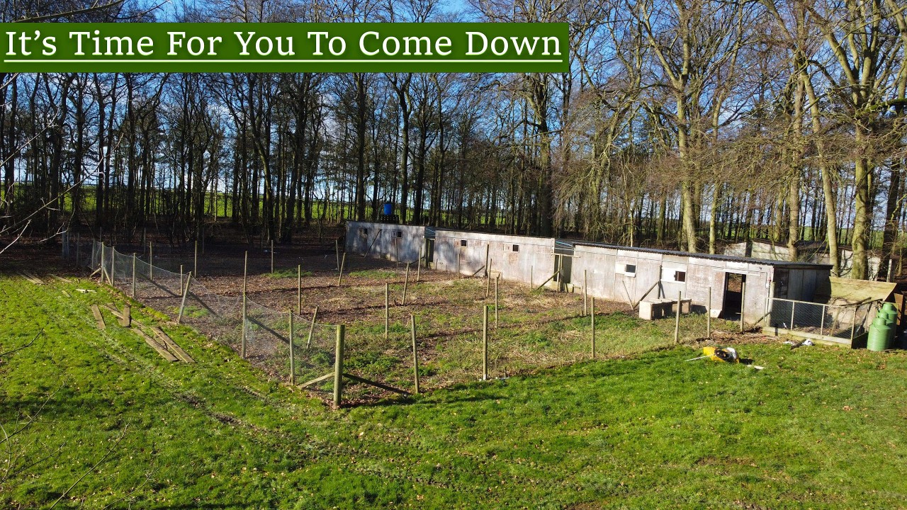 Its Time For You To Come Down - A GameKeepers Diary Ep 3