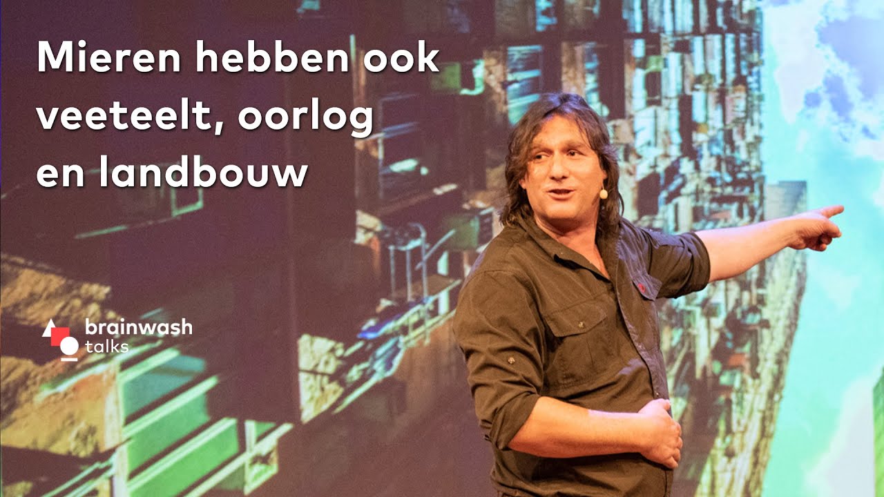 Gekke mieren - Boswachter Arjan Postma