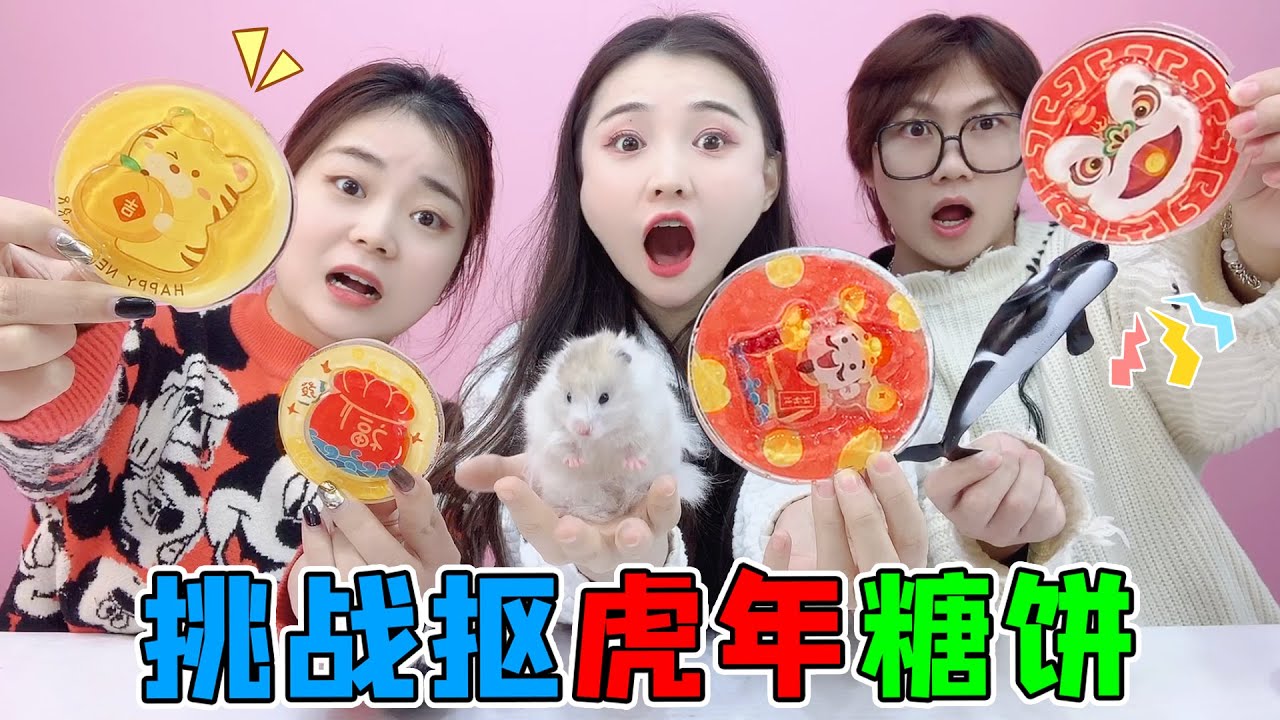 挑战抠“虎年”糖饼！鲨鱼玩具VS热水泡，小仓鼠居然也能抠糖饼？【桂圆子手作坊】