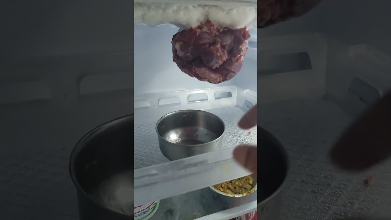 The Freezer Decided to Eat My Dinner! 🥩😂 #KitchenMistakes