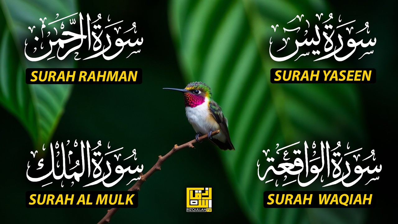 Beautiful Surah Yaseen (Yasin) | Surah Rahman | Surah Waqiah | Surah Mulk EP210