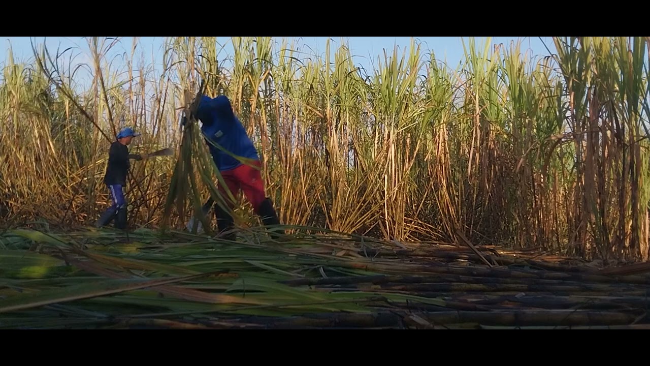 mas um dia de trabalho