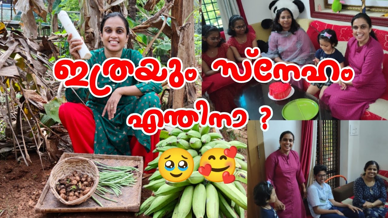 ഇത്രയും സ്നേഹം എന്തിനാ?🥹🥰 പ്രതീക്ഷിക്കാത്ത അതിഥിയും സമ്മാനവും🎁 | Easy Chapati Curry Recipe