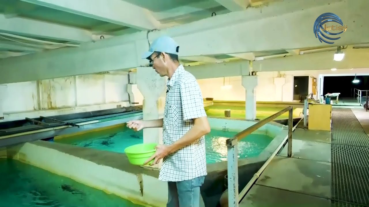 БАЛЫҚ ШАРУАШЫЛЫҒЫ ҚАЛАЙ ДАМЫП ЖАТЫР? / AGRO АЙМАҚ / 04.02.2026