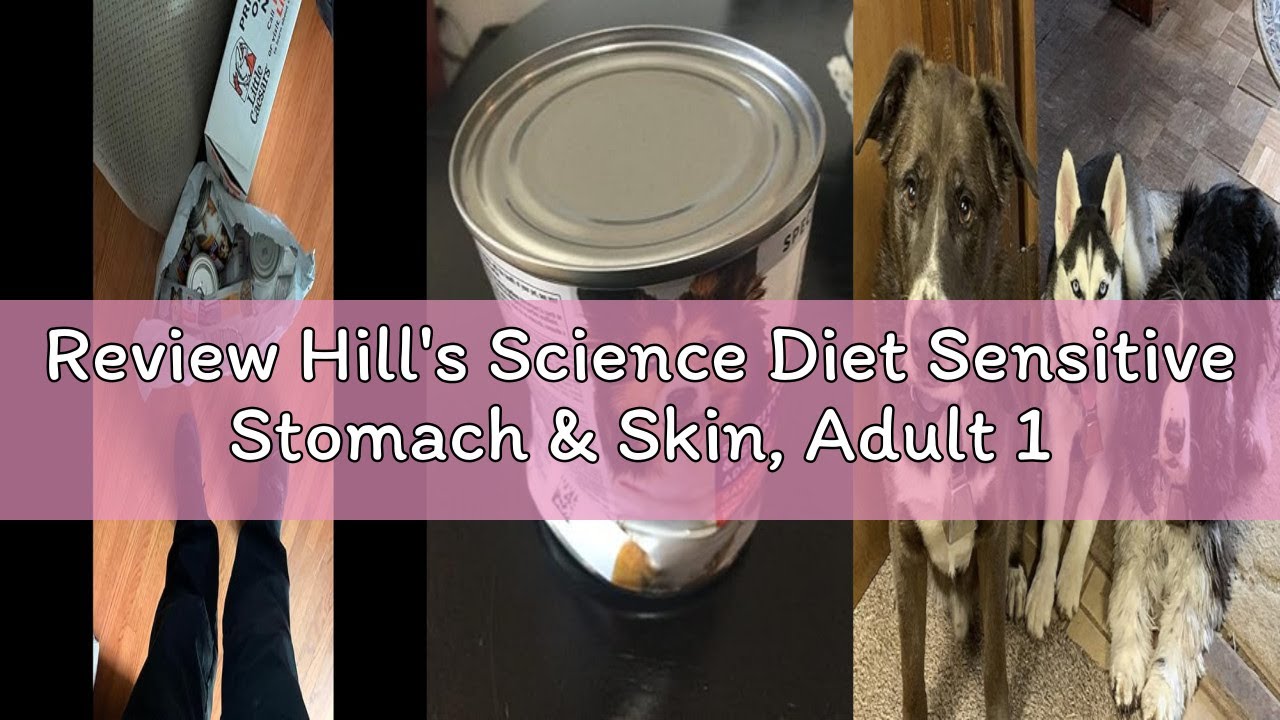 Review Hill's Science Diet Sensitive Stomach & Skin, Adult 1-6, Stomach & Skin Sensitivity support,