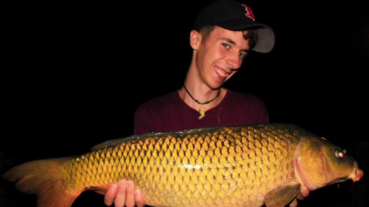 RESUMEN DEL LAGO ALFAROFIA VERANO 2018