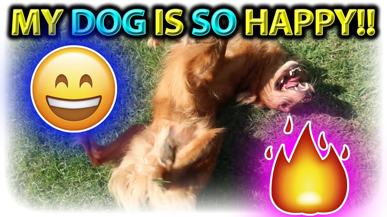 WHERE I GET STREAM/VIDEO MUSIC FROM!! CHILL WEEKEND!! | WEEKEND VLOG 30 | GUNNERS ALIVE