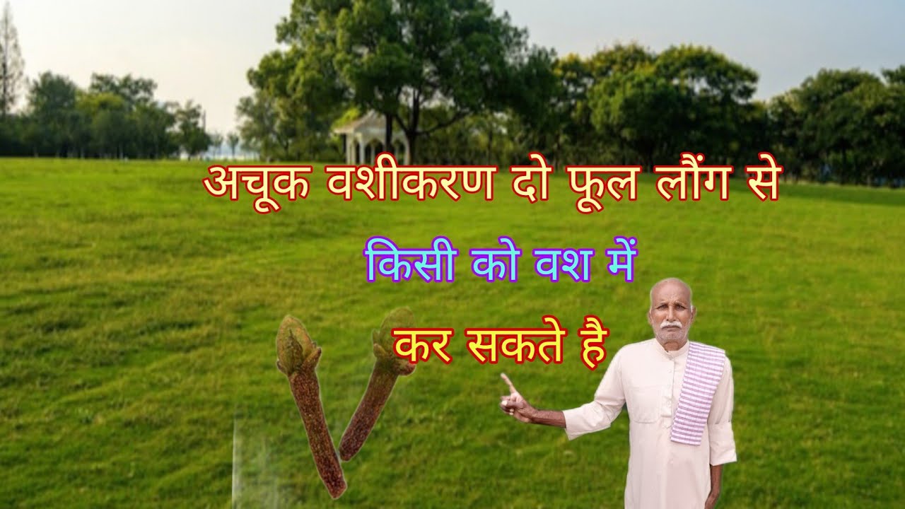 दो लौंग से किसी को वश में कर सकते बिना बुलाएं मिलने के लिए दौड़ा चला आएं अदभुद मोहिनी 