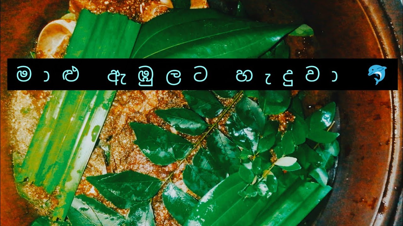 මාළු ඇඹුල් තියල්  හැදුවා 🐬🐬