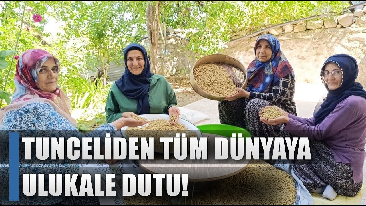 Coğrafi İşaretli Dut Tunceli'den Tüm Dünyaya İhraç Ediliyor! 