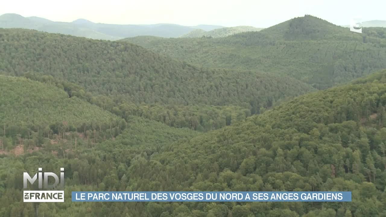FEUILLETON : Le parc naturel des Vosges du nord à ses anges gardiens