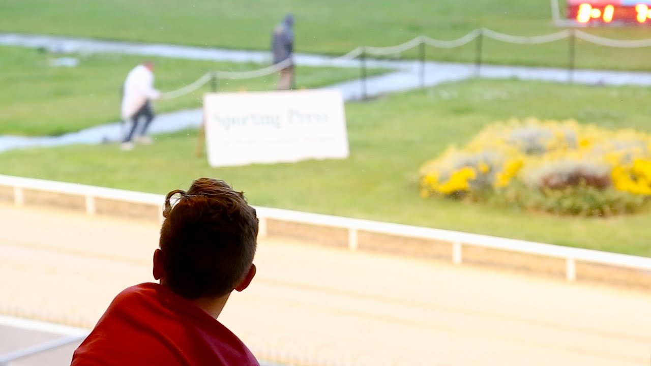 The Shelbourne Park Races