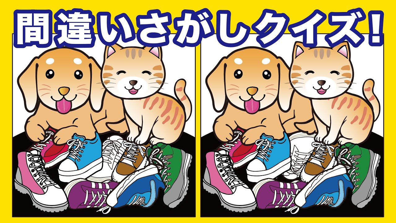 【間違いさがしクイズ】全問できたら天才！脳活おすすめ人気動画！#21-3