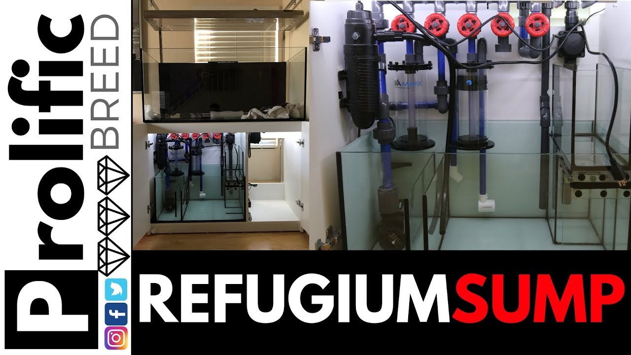 RED SEA REEFER 350 SUMP REFUGIUM DESIGN REEF TANK
