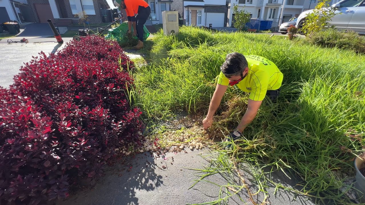 EPIC Transformation: Watch Two Bros Revive a Grassy Mess into a ROCK Paradise!