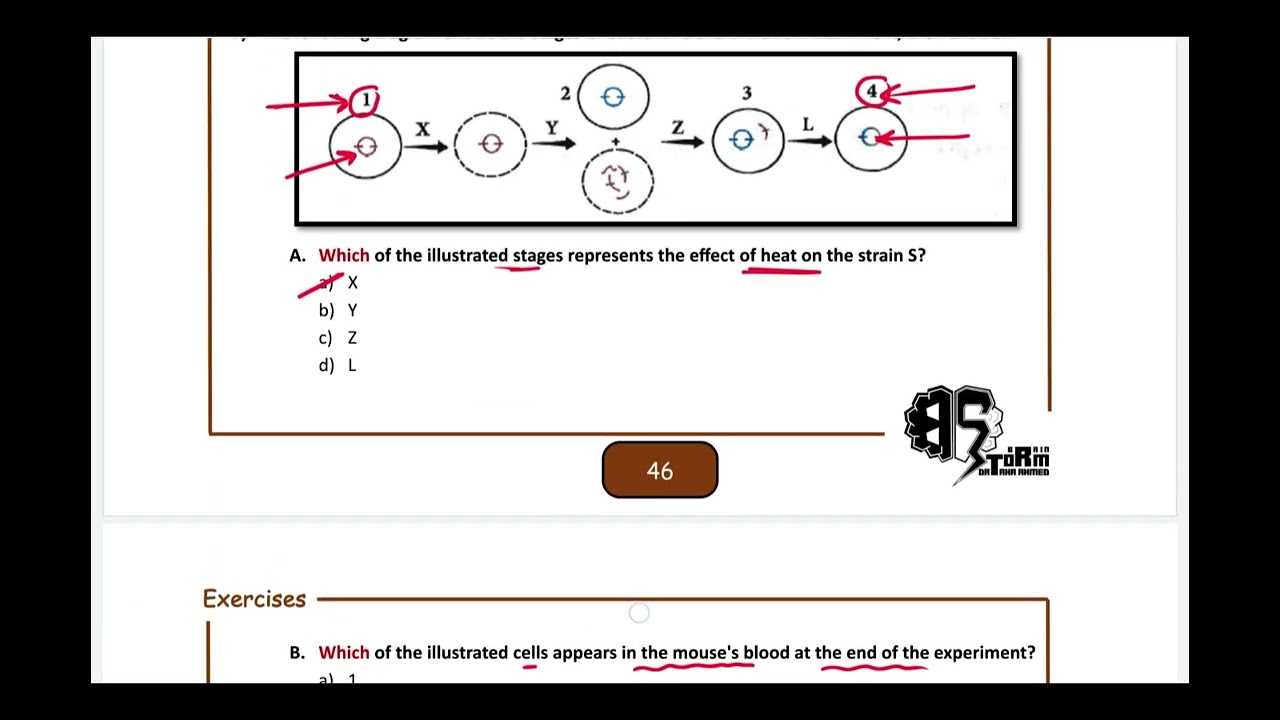 H.W correction: Ch5 (Section B) Lecture 1