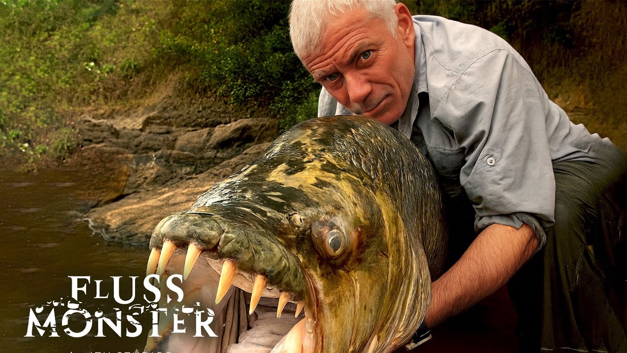 Der TÖDLICHSTE Piranha aller Zeiten! | Fluss Monster