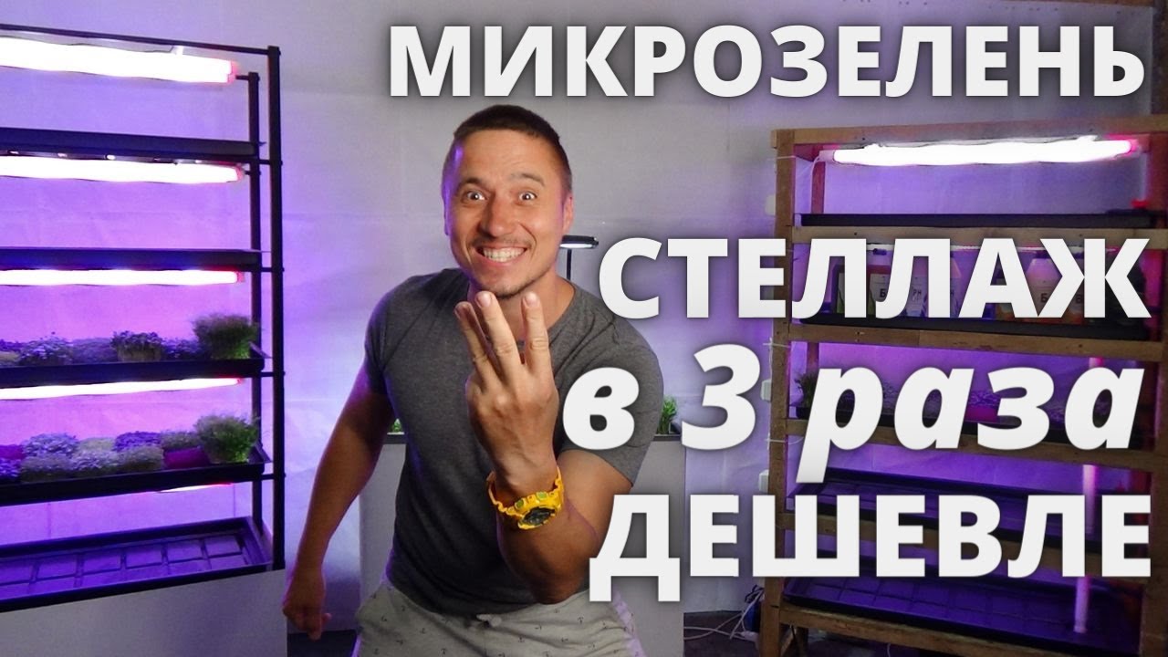 Стеллаж автополив  микрозелень сделай сам своими руками гидропоника стеллаж микрозелень бизнес идеи