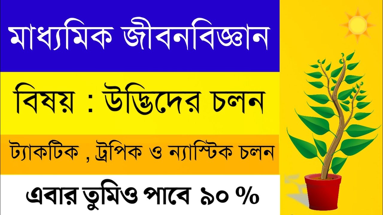 Plant Movement | Wbbse Class 10 Life Science Chapter 1 | Madhyamik Life Science | Plant Movement