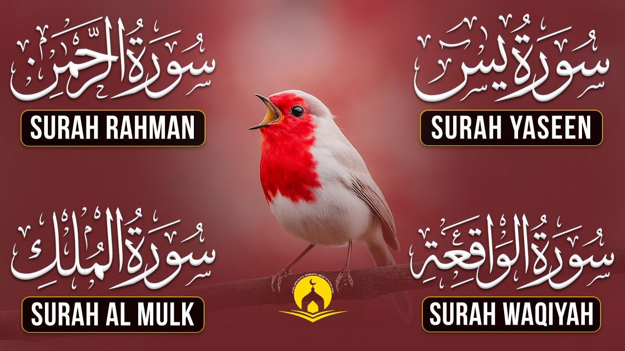 Very Nice Voice Surah Yaseen | Surah Rahman | Surah Waqiah | Surah Mulk l Reciter Ashraf Hussain 087