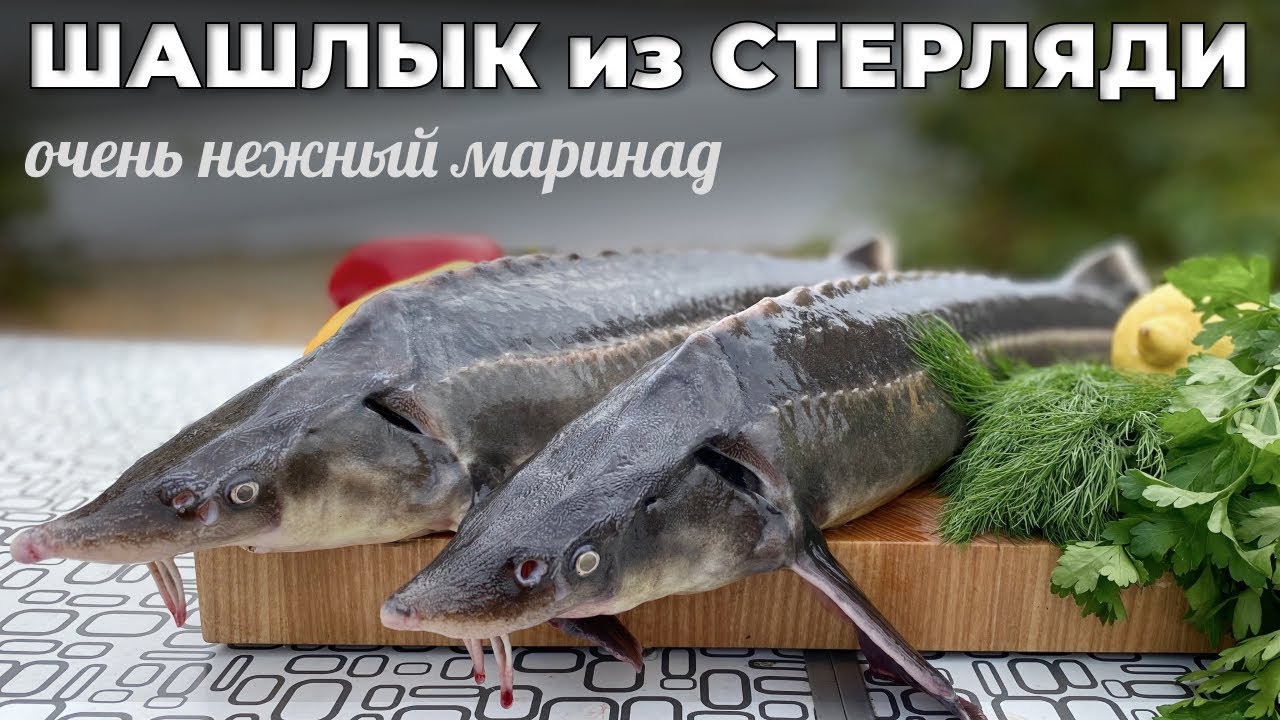 Нежнейший шашлык из стерляди. Лучший маринад для стерляди. Мужская Кухня