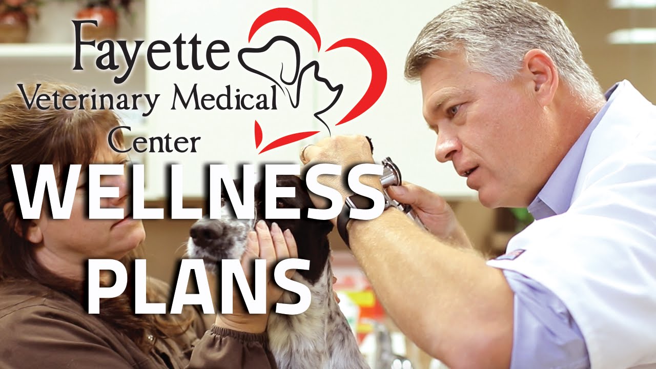 Wellness Plans - Fayette Veterinary Medical Center