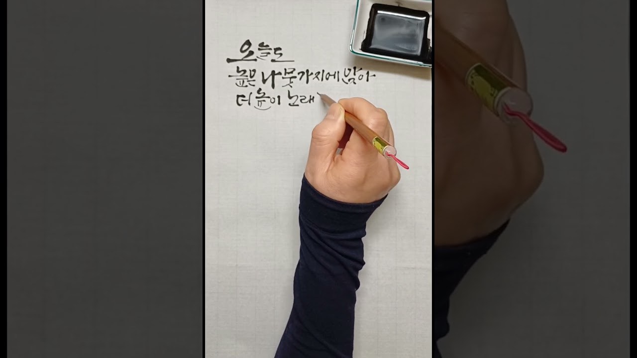 하늘볼 '새' 도 없이~ /캘리그라피/감성붓글씨 