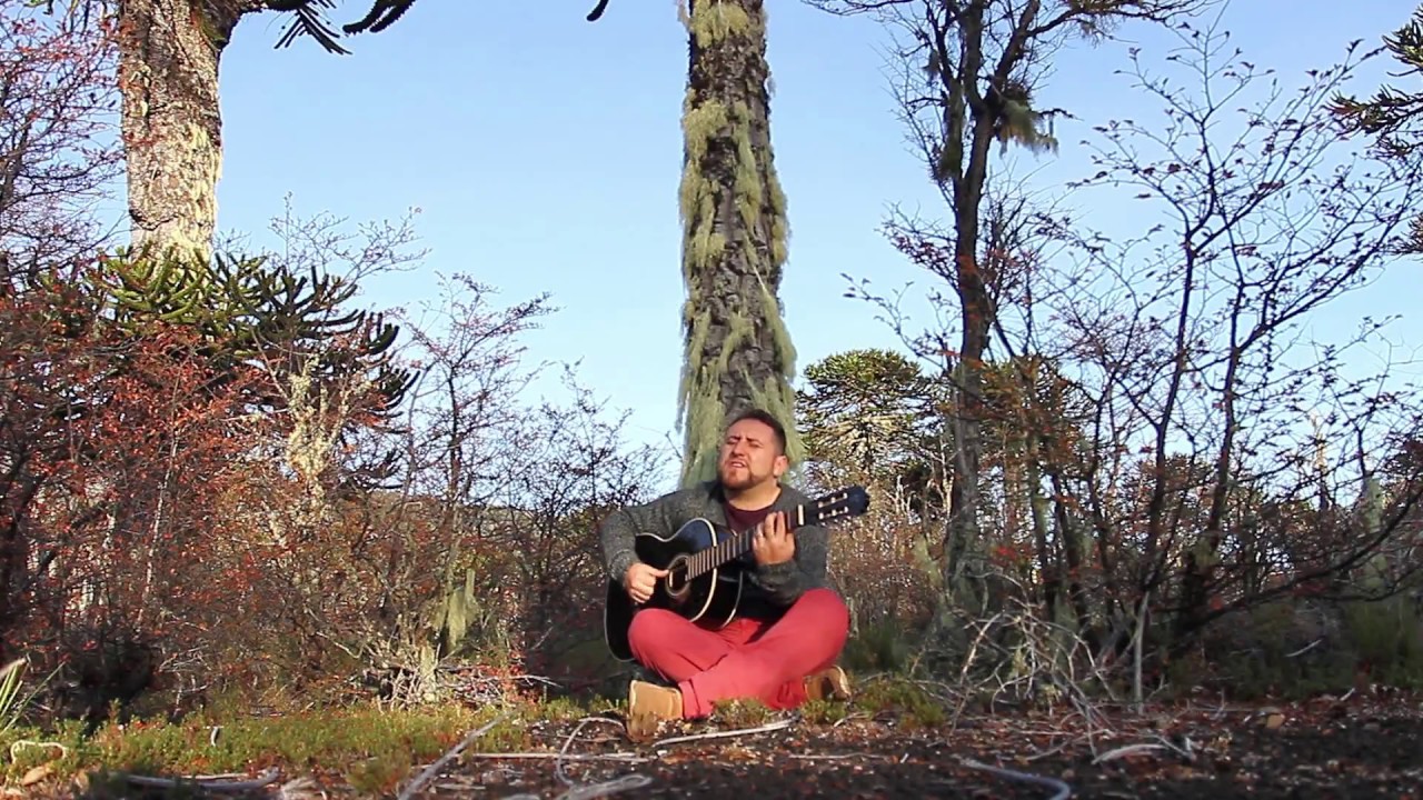 Juanjo Montecinos - Paisaje Romántico DVD desde Conguillío