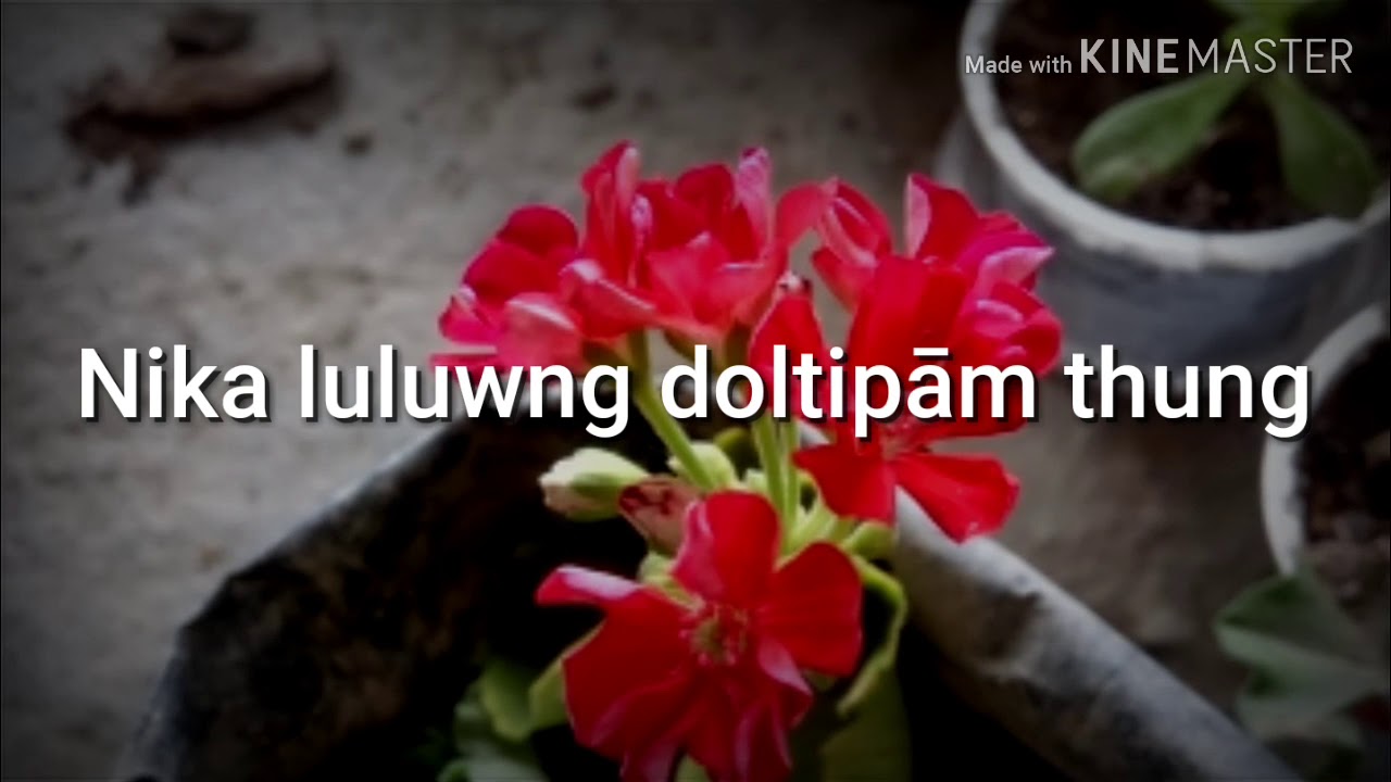 Nika luluwng doltipām thung...(lyrics) Anāl gospel song