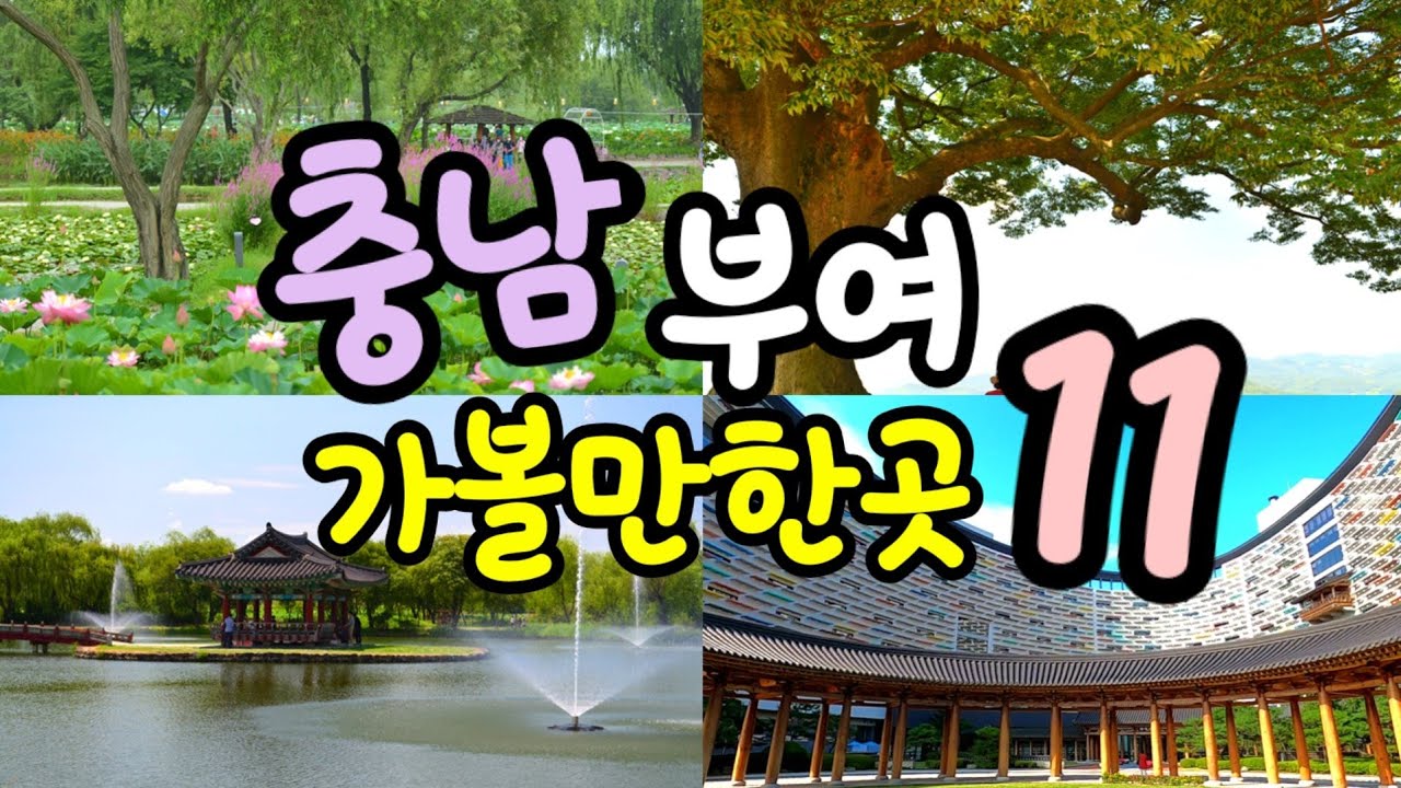 충남부여1박2일 여행지 |궁남지 |부소산성 |낭만여행 황포돛배| 롯데리조트부여 |맛집 카페등 꼭가봐야 하는 여행지|부여여행코스|a place worth vising in buyeo