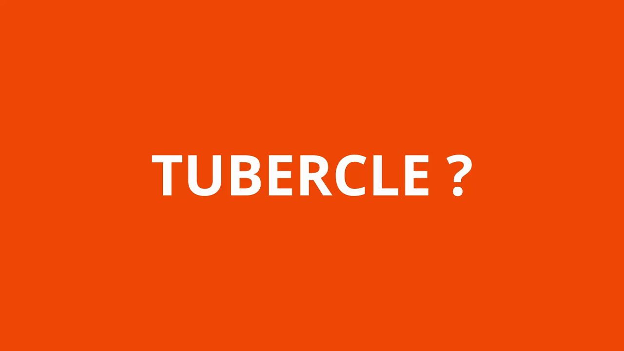 TUBERCLE | MEANING | IMPROVE VOCAB