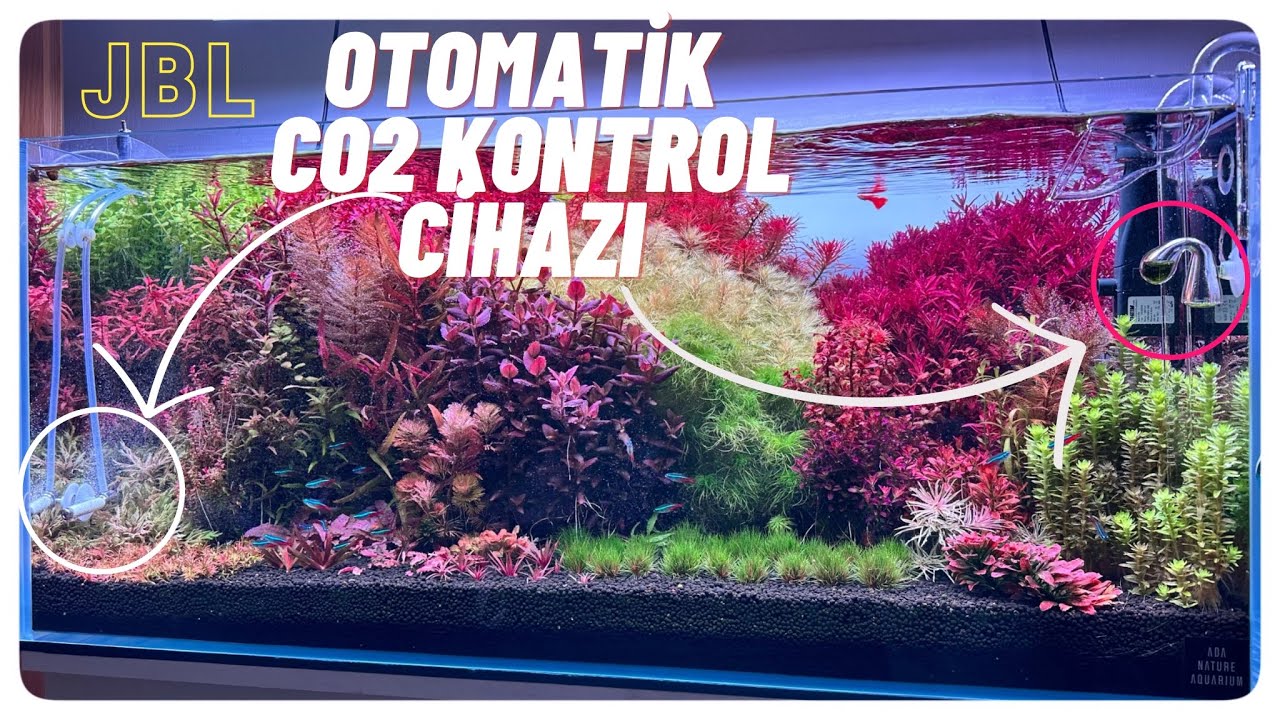 BİTKİLİ AKVARYUM OTOMATİK Co2 KONTROL CİHAZI KURULUMU ! @meinjbl #akvaryum #bitkiliakvaryum