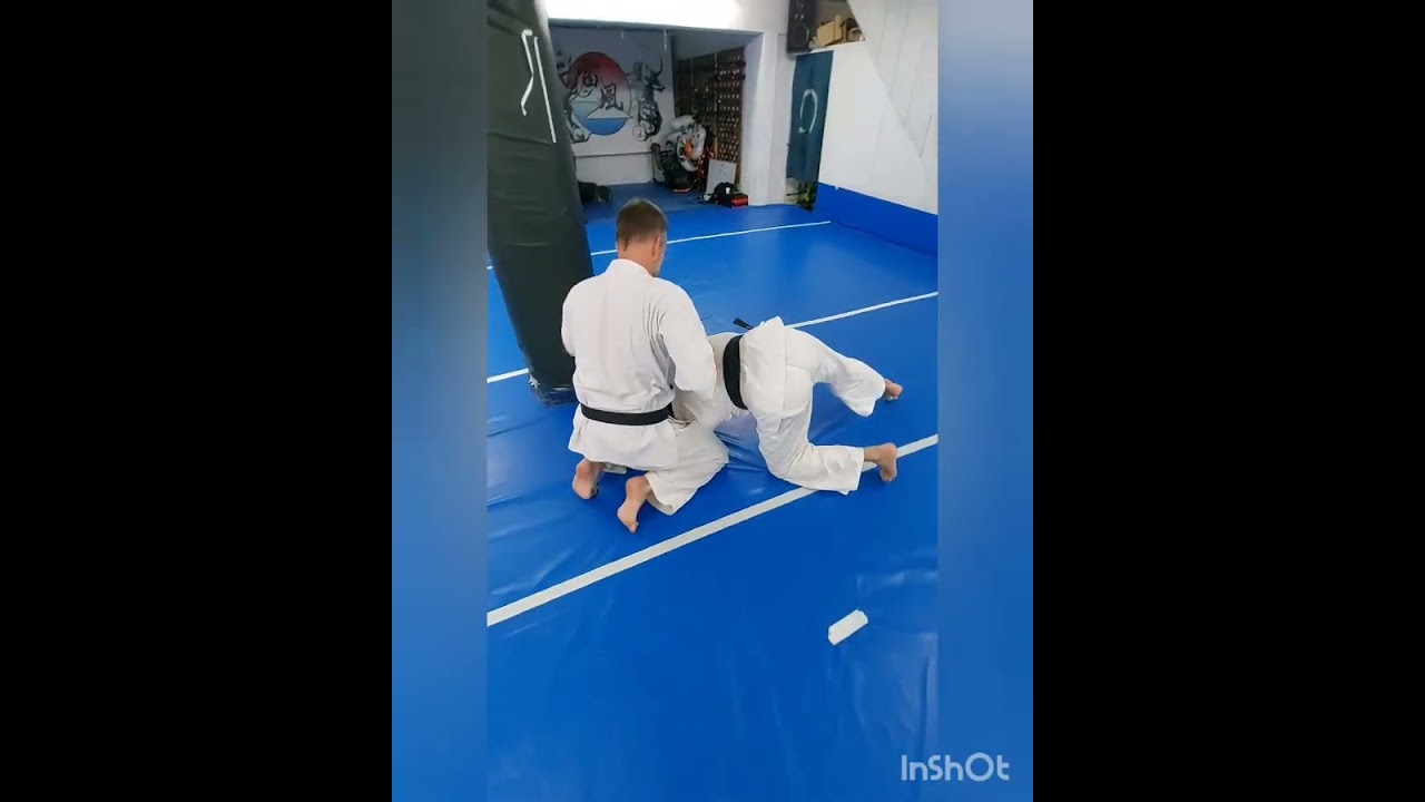 極伝大東流  Dai Yonkajo favorite techniques demonstration by Mr Gregory B.