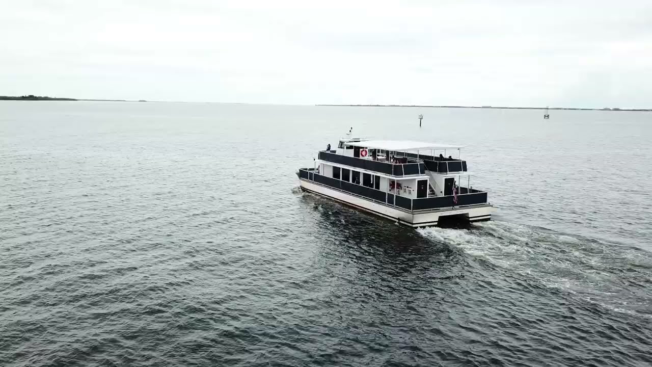 Wild Dolphin Cruise at The Florida Aquarium