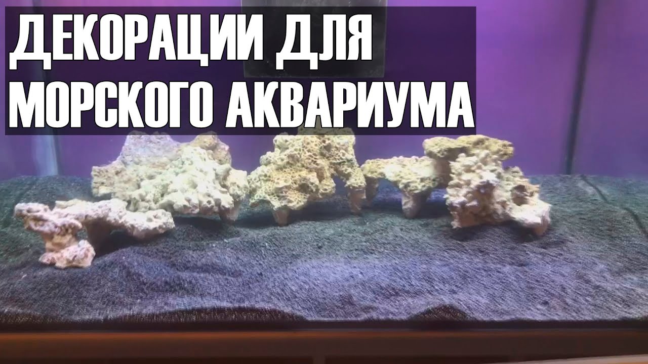 Декорации для морского аквариума.