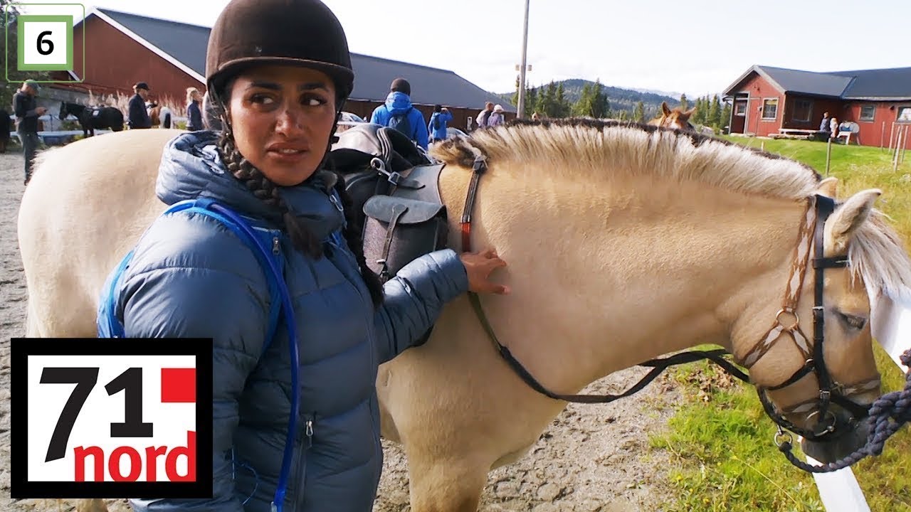 71° nord kjendis | Vita Mashadi er livredd hester | discovery+ Norge