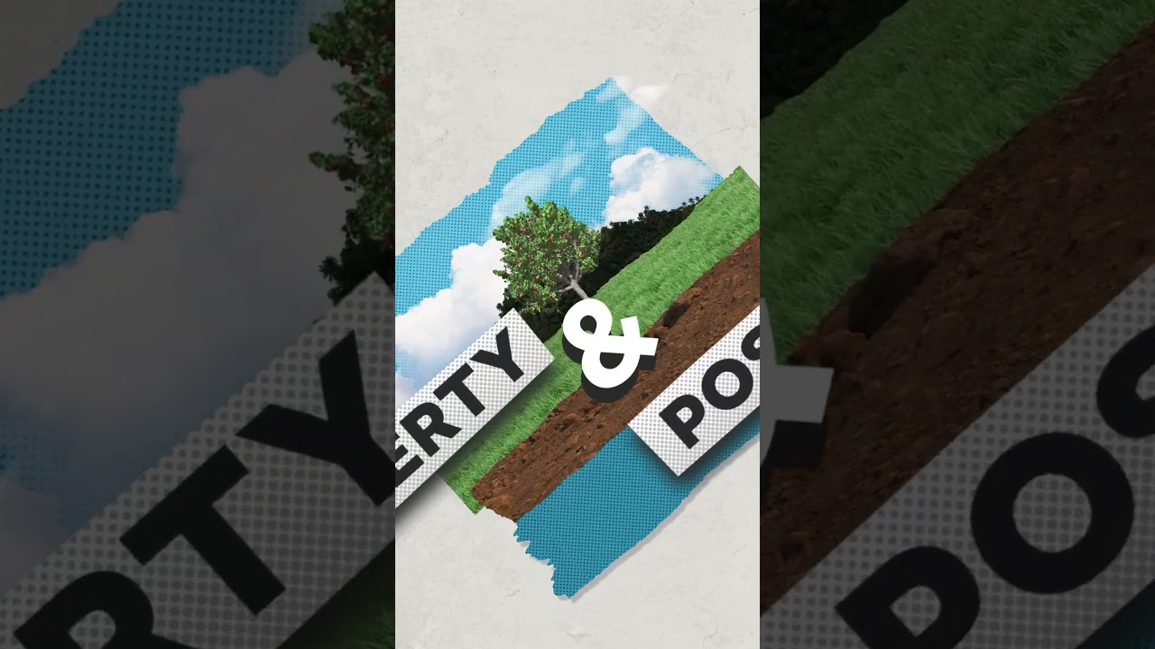 fewStones Collage & Stop Motion Reel | Corporate Video Production & Animation Studio Singapore
