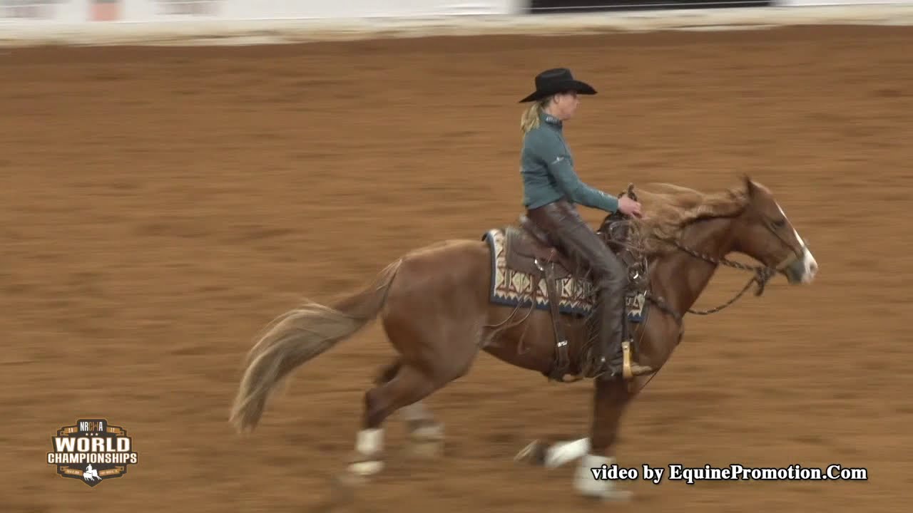 Shine Smarter ridden by Sarah L. Dawson  - 2018 Celebration of Champions (Open Hackamore, Prelims)